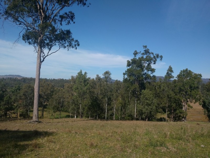 77 Wallaces Road, Withcott QLD 4352