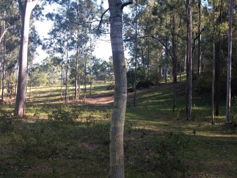 77 Wallaces Road, Withcott QLD 4352