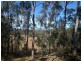 77 Wallaces Road, Withcott QLD 4352