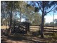 77 Wallaces Road, Withcott QLD 4352