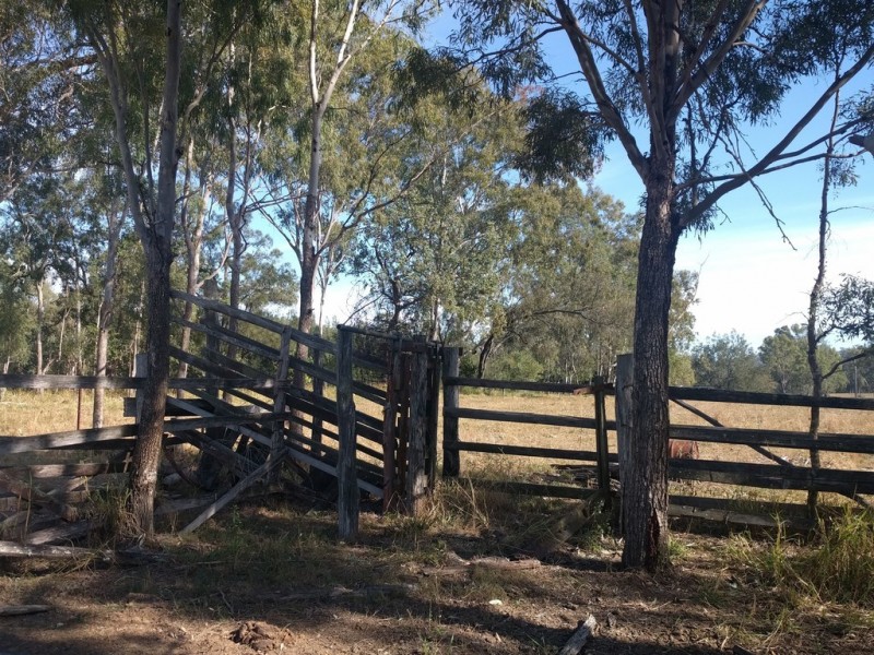 77 Wallaces Road, Withcott QLD 4352