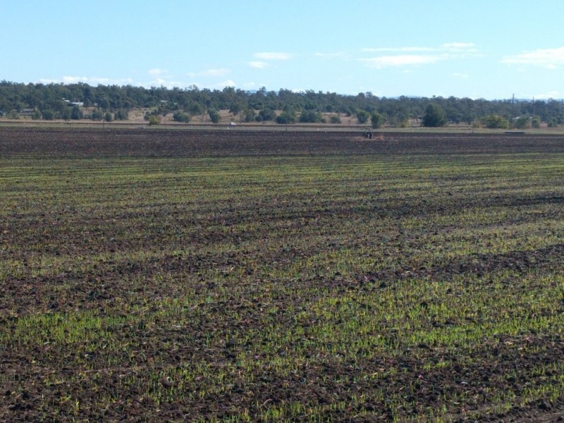 9-11 Mulgowie Road, Laidley Heights QLD 4341