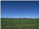 114 Forest Hill, Glenore Grove QLD 4342