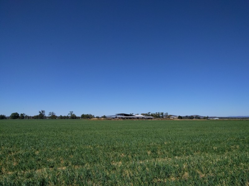 114 Forest Hill, Glenore Grove QLD 4342