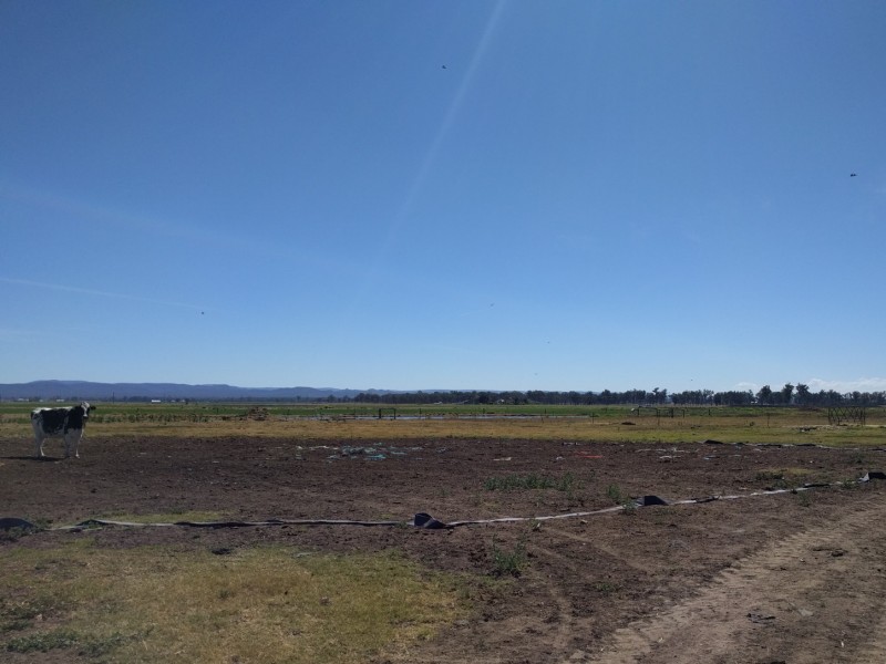114 Forest Hill, Glenore Grove QLD 4342