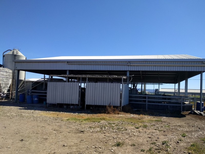 114 Forest Hill, Glenore Grove QLD 4342