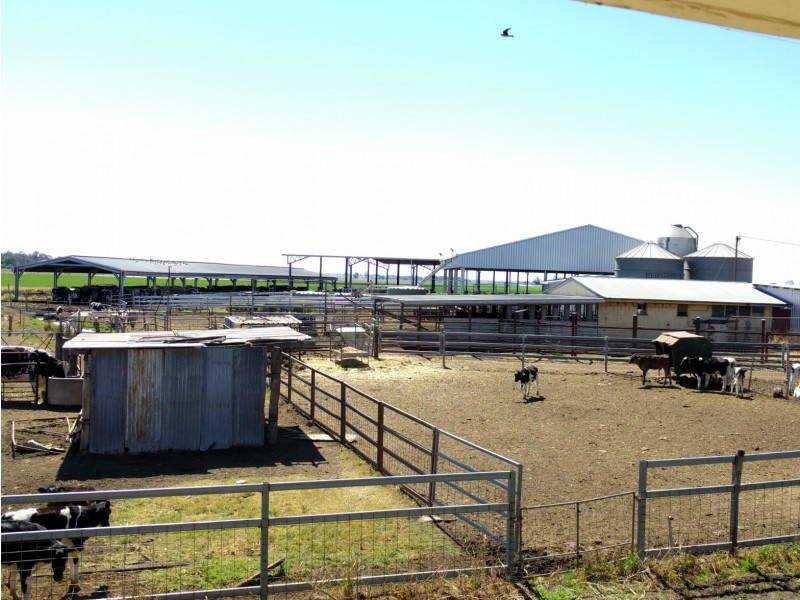 114 Forest Hill, Glenore Grove QLD 4342