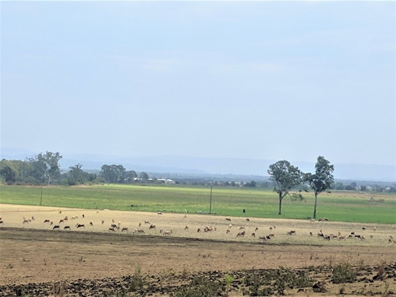 Mount Tarampa QLD 4311