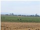 Mount Tarampa QLD 4311