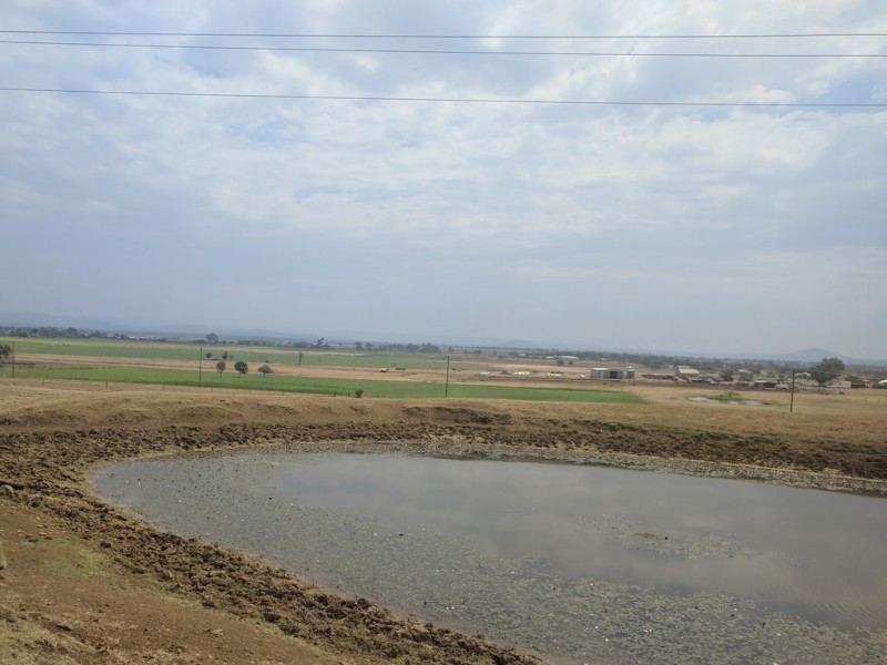 Mount Tarampa QLD 4311