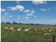 Mount Tarampa QLD 4311