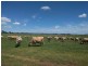 Mount Tarampa QLD 4311