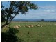 Mount Tarampa QLD 4311
