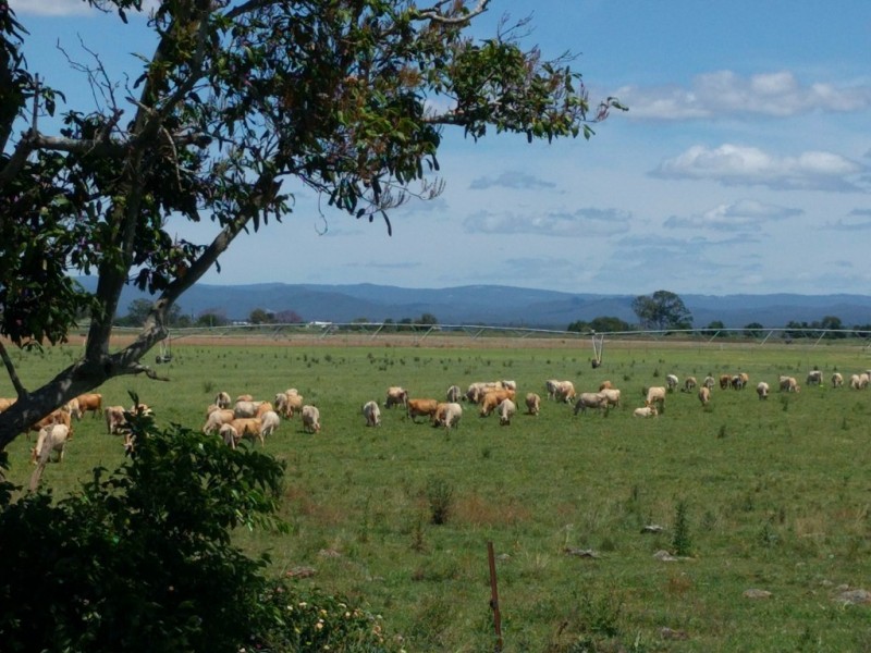 Mount Tarampa QLD 4311