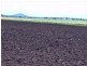 Mount Tarampa QLD 4311