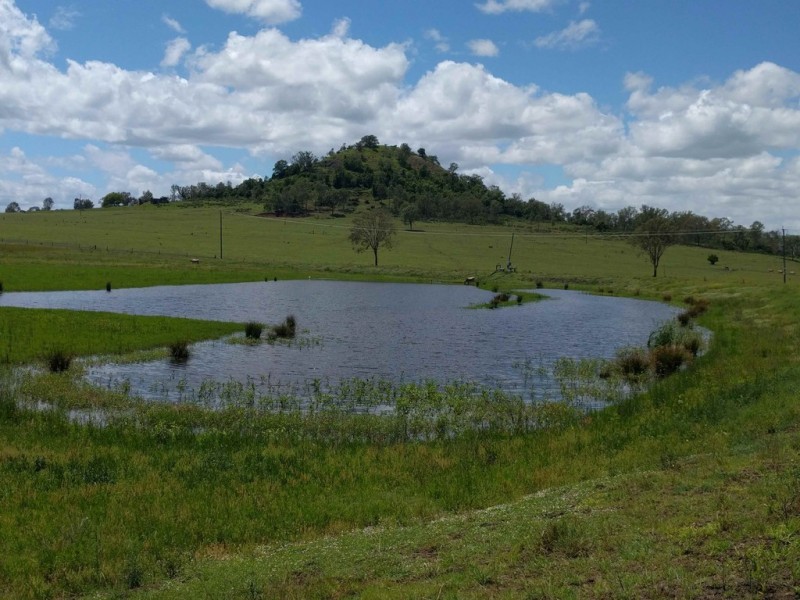 Mount Tarampa QLD 4311