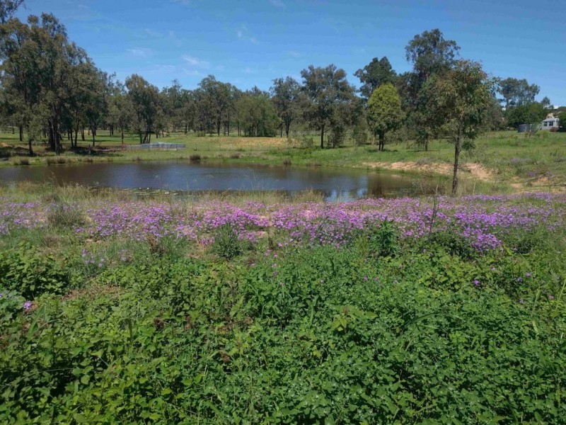 13 Kellys Road, Helidon QLD 4344