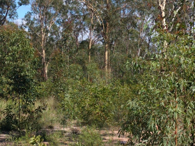 lot 41 Lavender Road, Helidon Spa QLD 4344