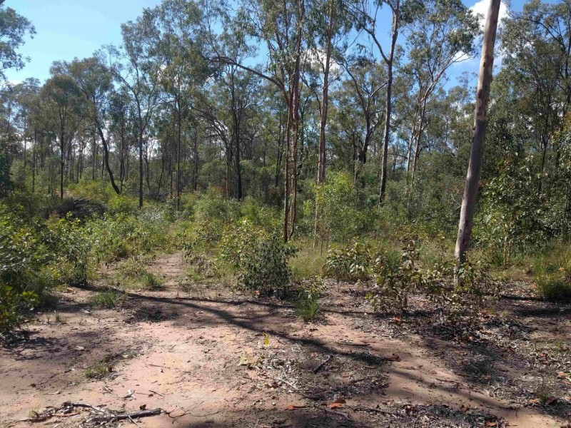 lot 41 Lavender Road, Helidon Spa QLD 4344