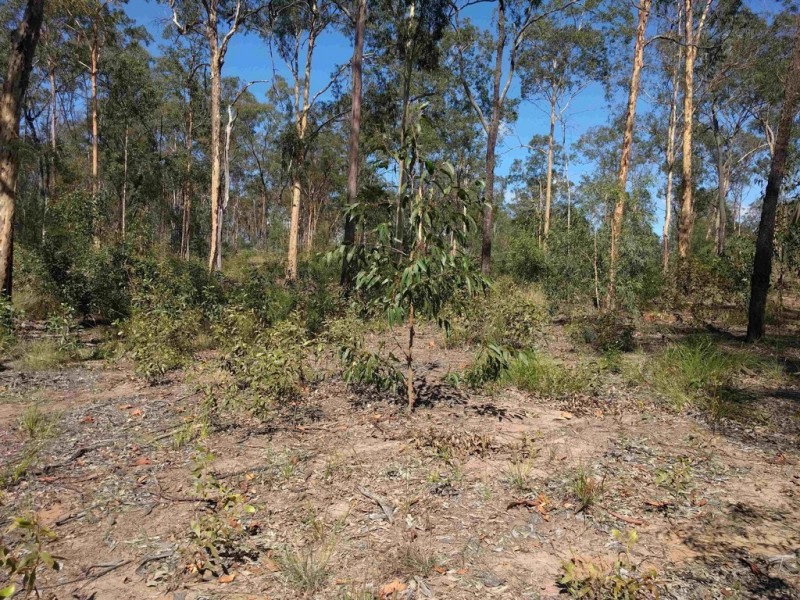 lot 41 Lavender Road, Helidon Spa QLD 4344