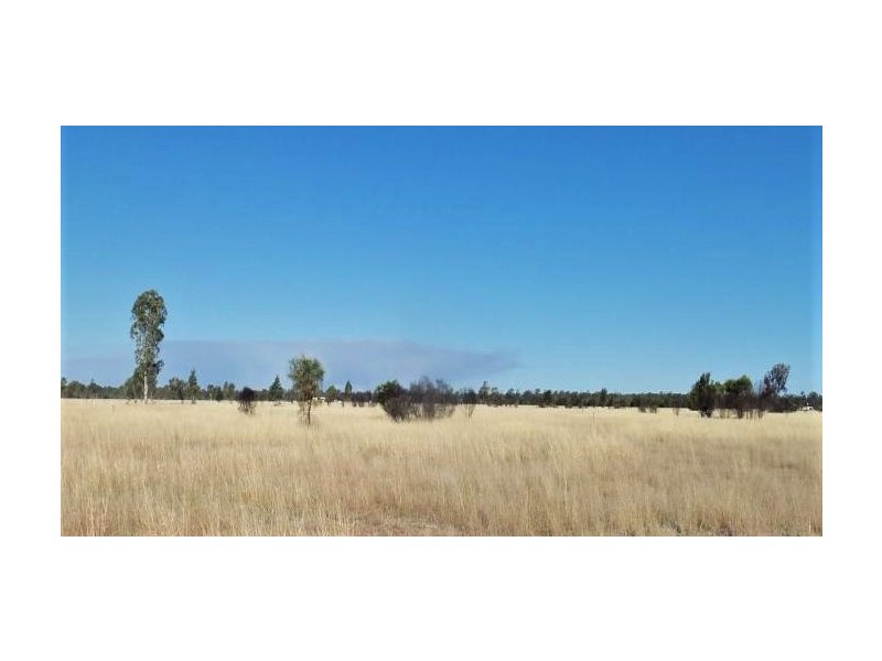 56 Kofoeds Road, Tara QLD 4421