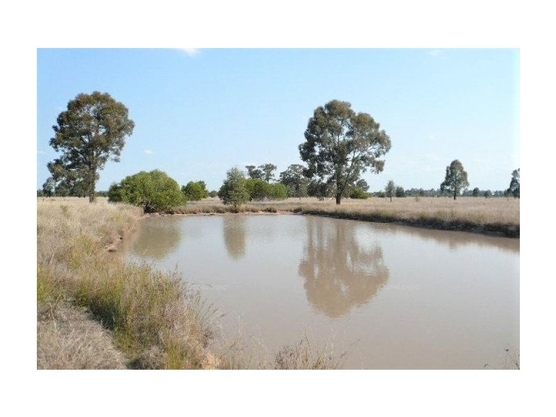 56 Kofoeds Road, Tara QLD 4421