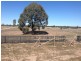 56 Kofoeds Road, Tara QLD 4421