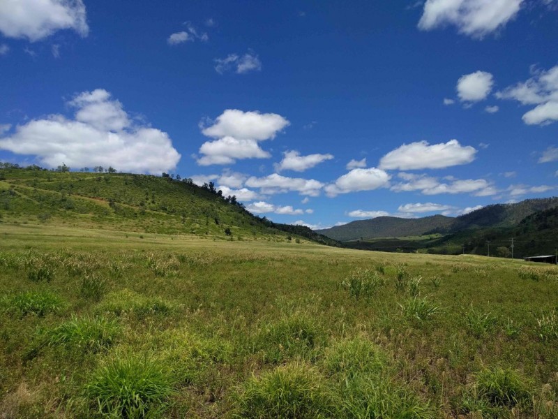 157 Black Duck Creek Road, Junction View QLD 4343