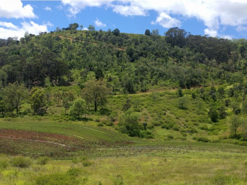 157 Black Duck Creek Road, Junction View QLD 4343