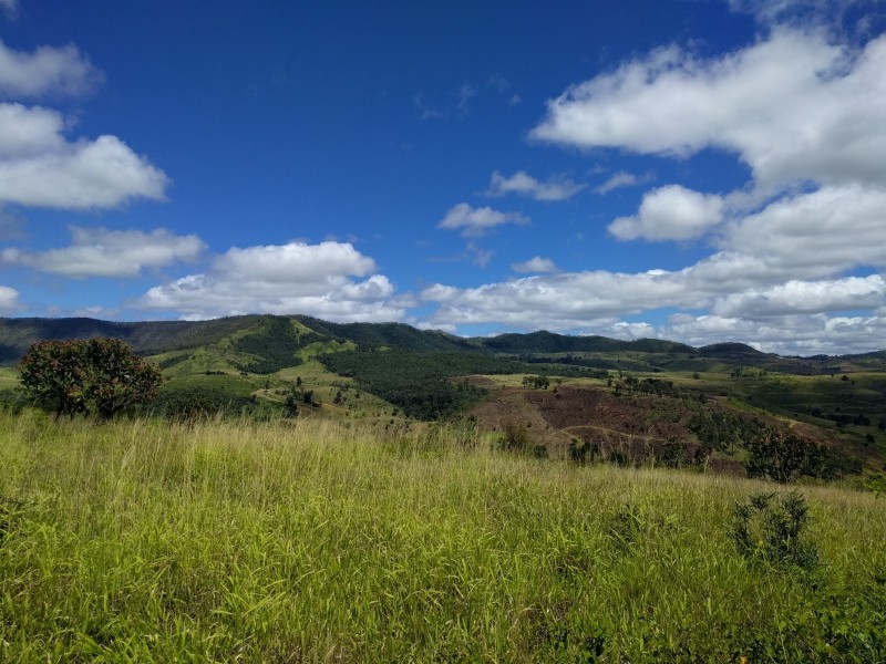 157 Black Duck Creek Road, Junction View QLD 4343