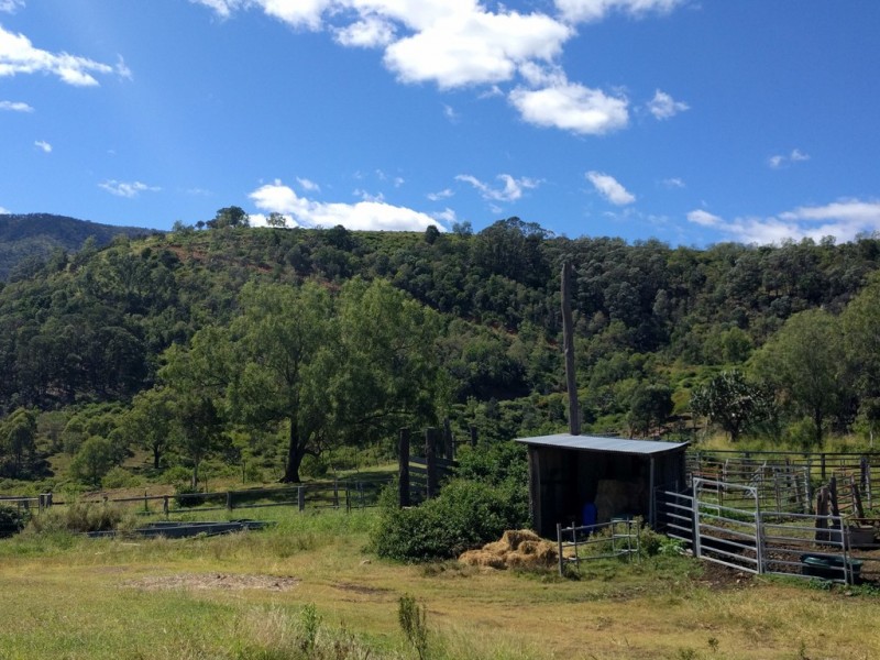 157 Black Duck Creek Road, Junction View QLD 4343