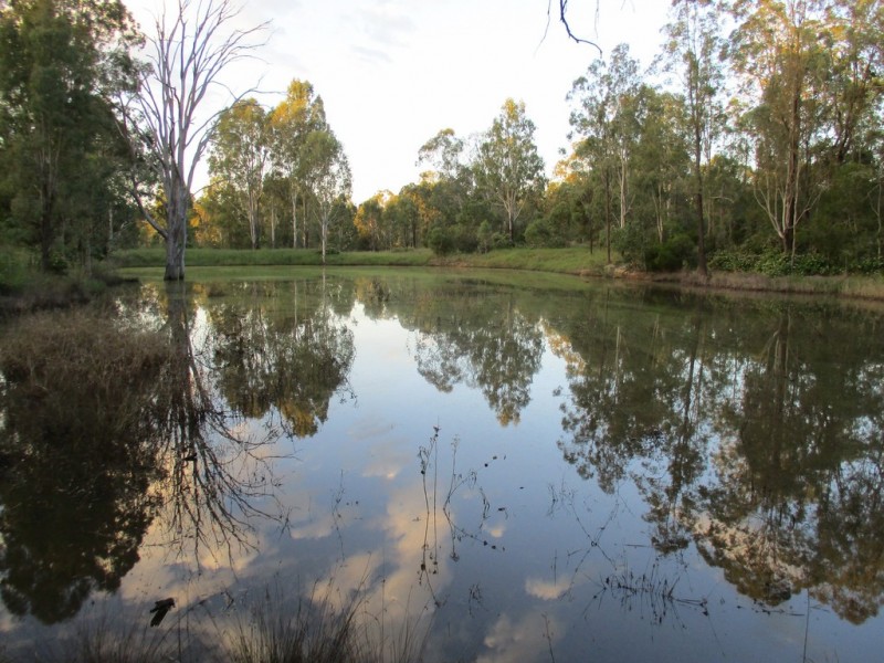 944 Murphys Creek Road, Murphys Creek QLD 4352