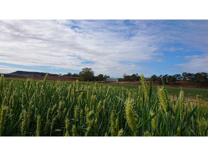 561 Flagstone Creek Road, Lilydale QLD 4344