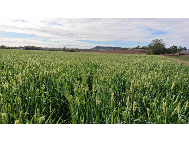 561 Flagstone Creek Road, Lilydale QLD 4344