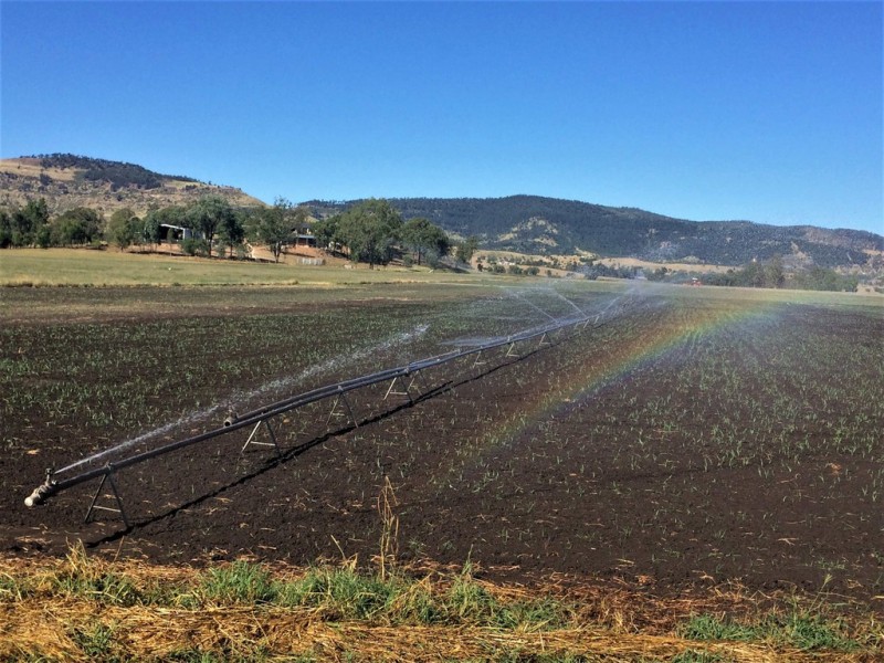 561 Flagstone Creek Road, Lilydale QLD 4344