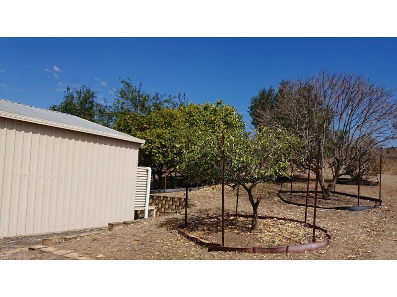 65 Friis Road, Iredale QLD 4344