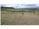 179 Scotts Road, Veradilla QLD 4347