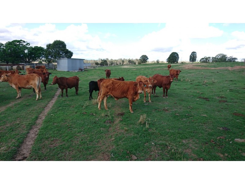 179 Scotts Road, Veradilla QLD 4347