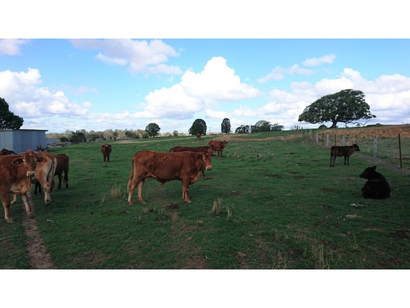 179 Scotts Road, Veradilla QLD 4347