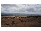 179 Scotts Road, Veradilla QLD 4347