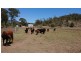 7 Flagstone, Flagstone Creek QLD 4344