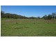 73 Wallaces Road, Withcott QLD 4352