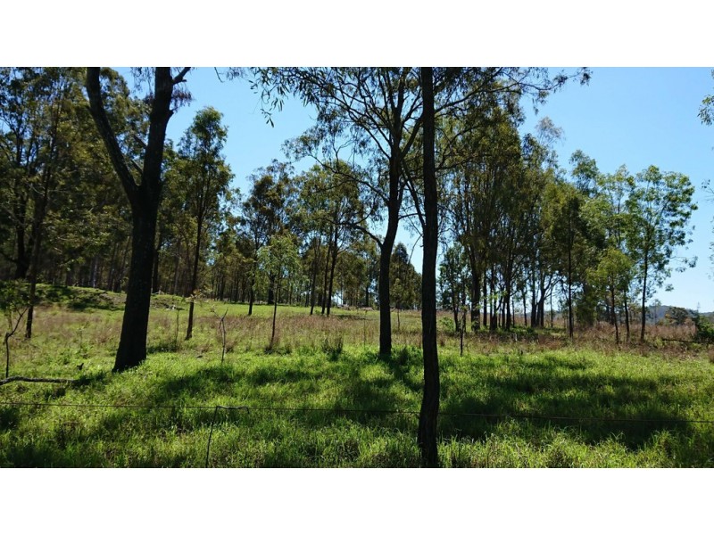 73 Wallaces Road, Withcott QLD 4352