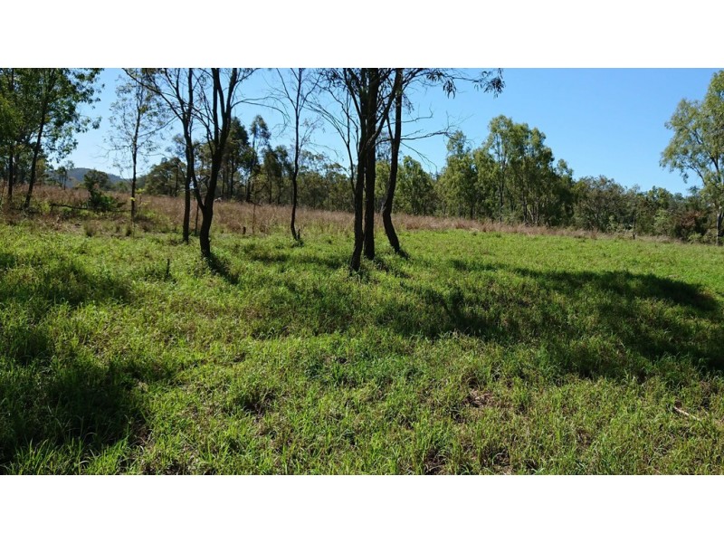 73 Wallaces Road, Withcott QLD 4352