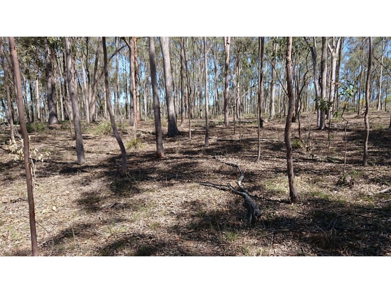 73 Wallaces Road, Withcott QLD 4352
