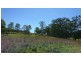 Lot 328 Wallaces Road, Withcott QLD 4352
