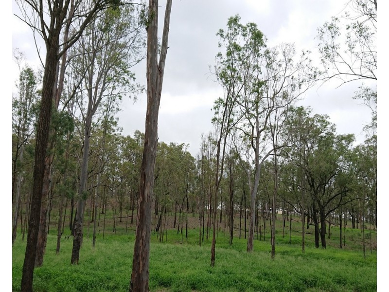 237 Edwards Road, Gatton QLD 4343