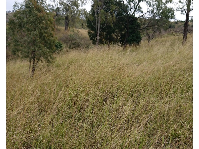 662 East Egypt Road, Egypt QLD 4344