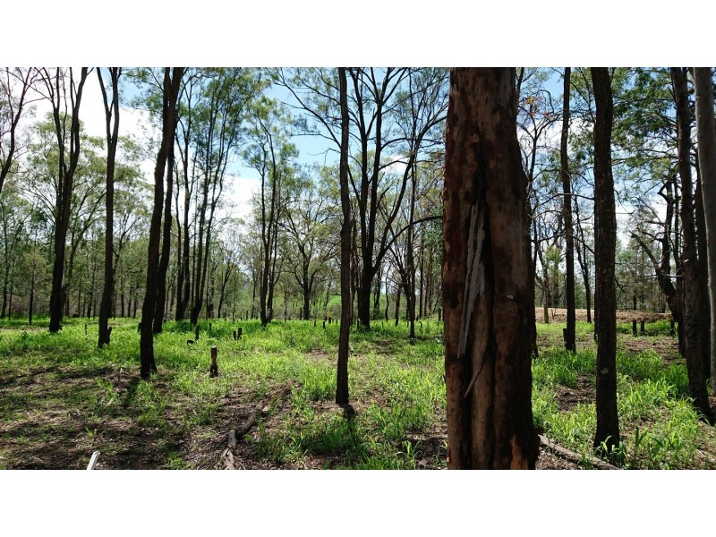 333 Carpendale Road, Carpendale QLD 4344