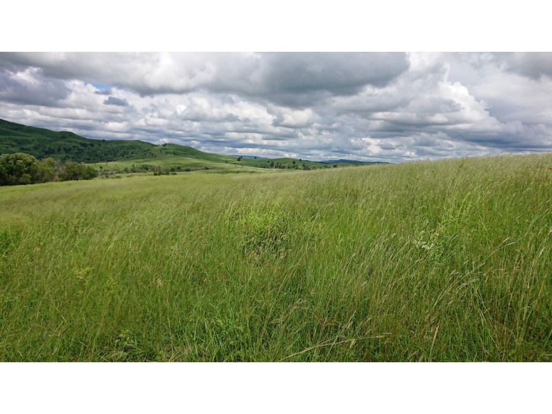 Lot 112 Ropeley-Rockside Road, Rockside QLD 4343